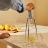 Kitchen Gadgets | Alessi Alessi Lemon Squeezer, 29Cmx14Cm, Silver